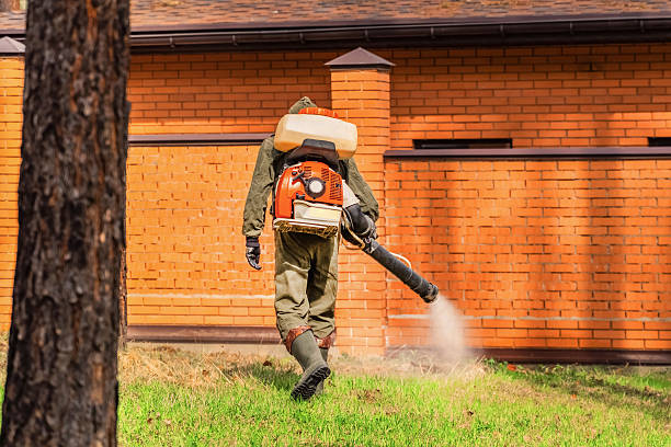 Bed Bug Clearance Verification and Documentation in Babson Park